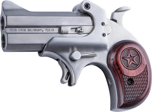 Bond Arms Cowboy Defender