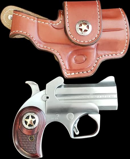 Bond Arms Bond Rustic Defender