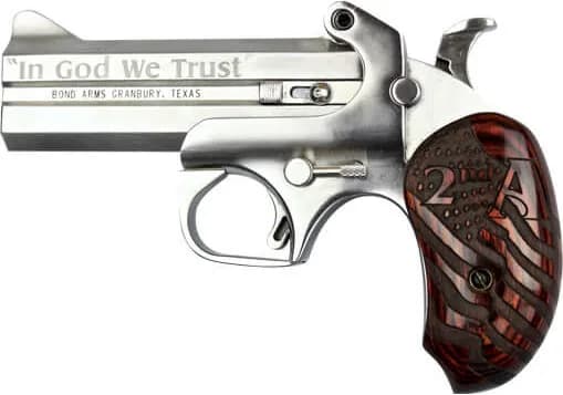 Bond Arms Protect the 2nd Amendment 45/410