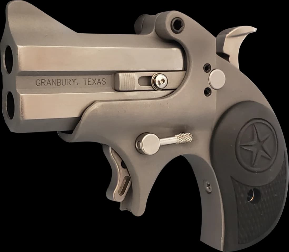 Bond Arms Rawhide Derringer