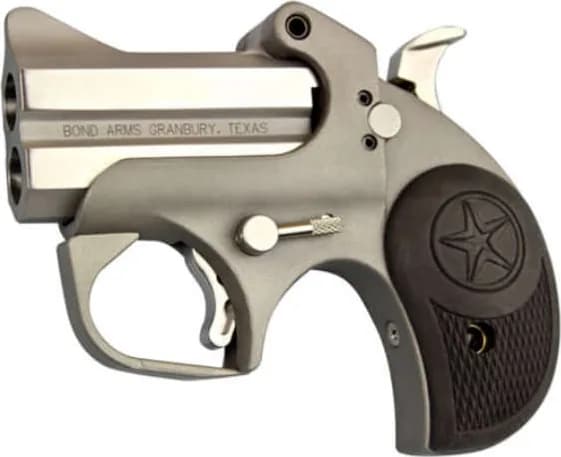 Bond Arms Roughneck .45