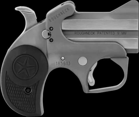Bond Arms Roughneck