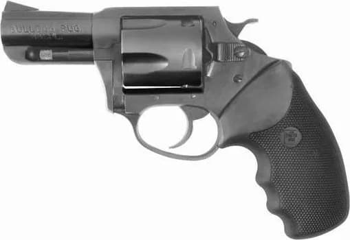 Charter Arms Bulldog
