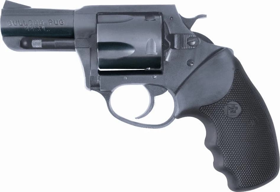 Charter Arms Bulldog