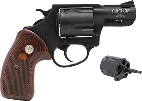 Charter Arms Double Dog
