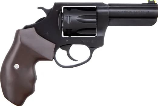 Charter Arms Professional