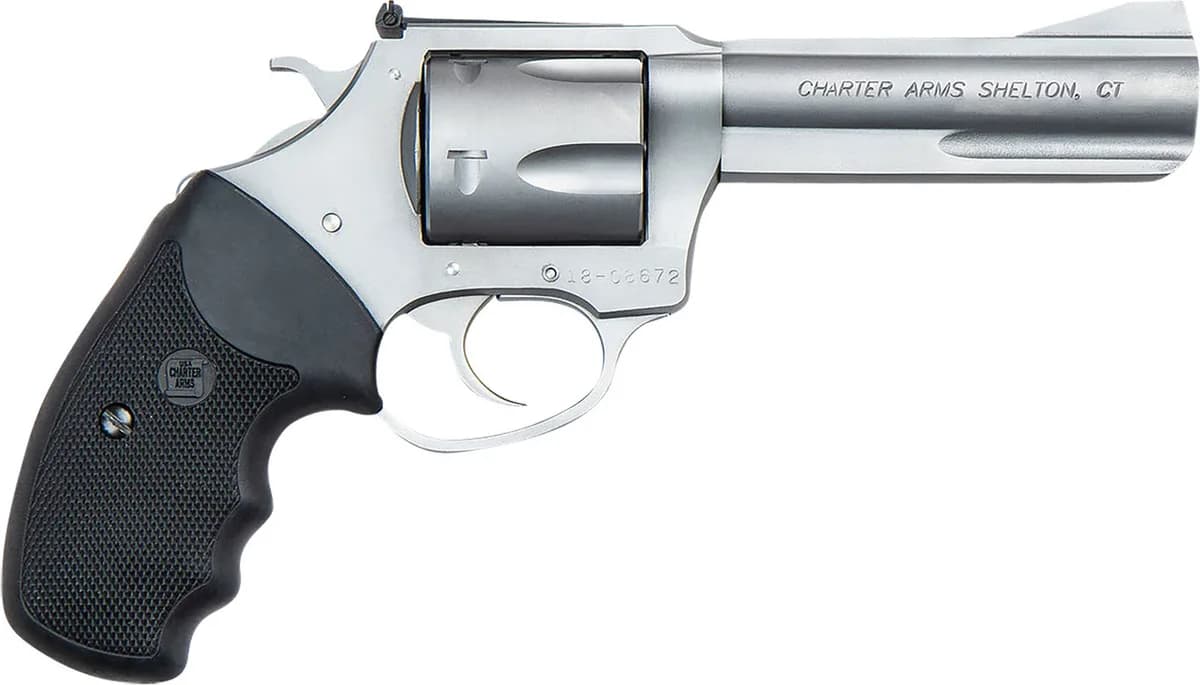 Charter Arms Professional VI