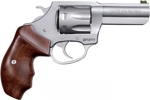 Charter Arms Professional