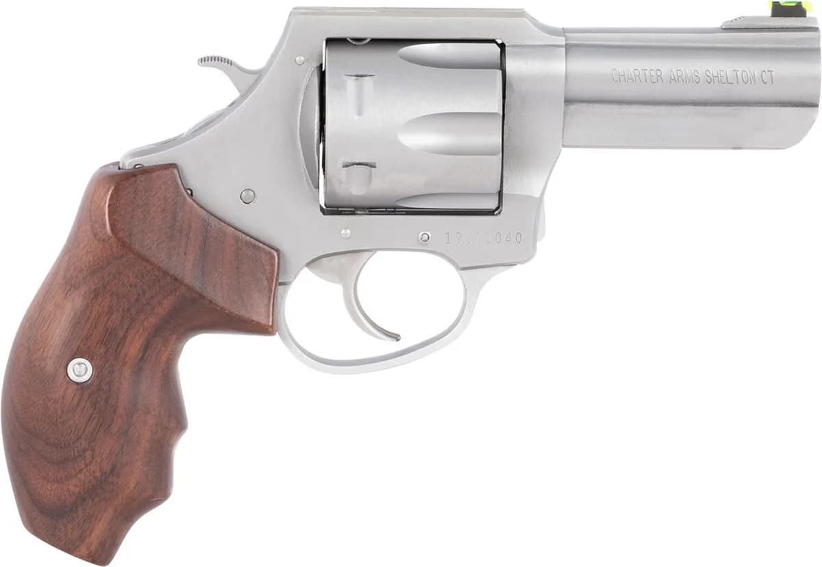 Charter Arms Professional V