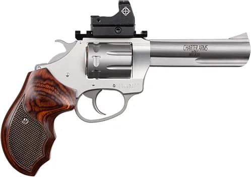 Charter Arms Target