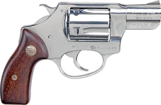 Charter Arms Undercover