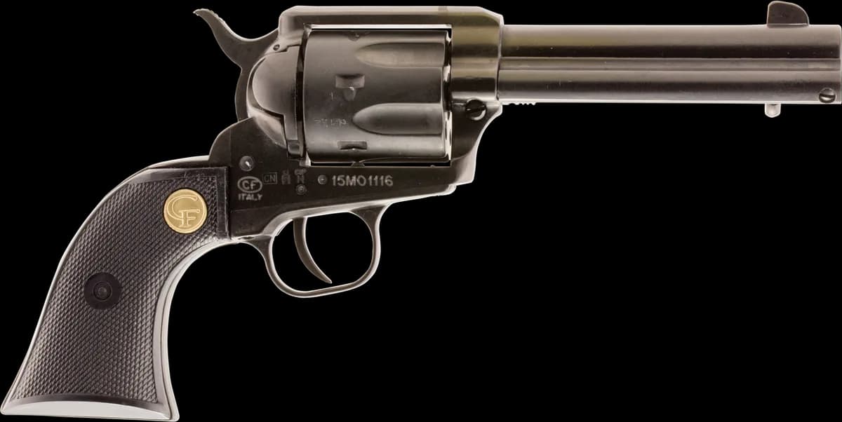 Chiappa 1873 Medium Frame