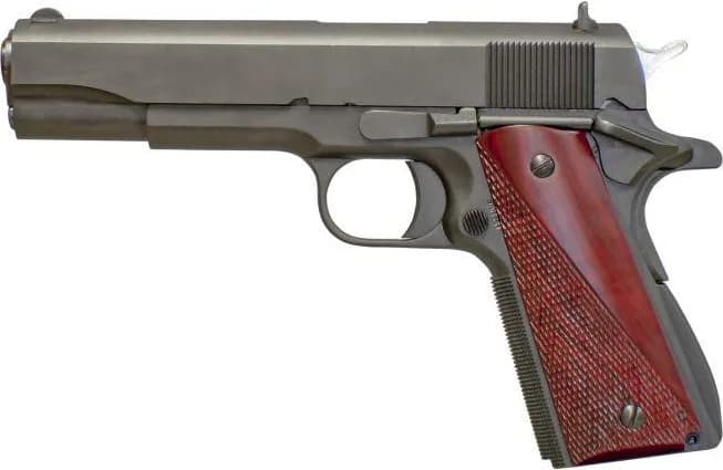 Fusion Precision Freedom Government — image 2