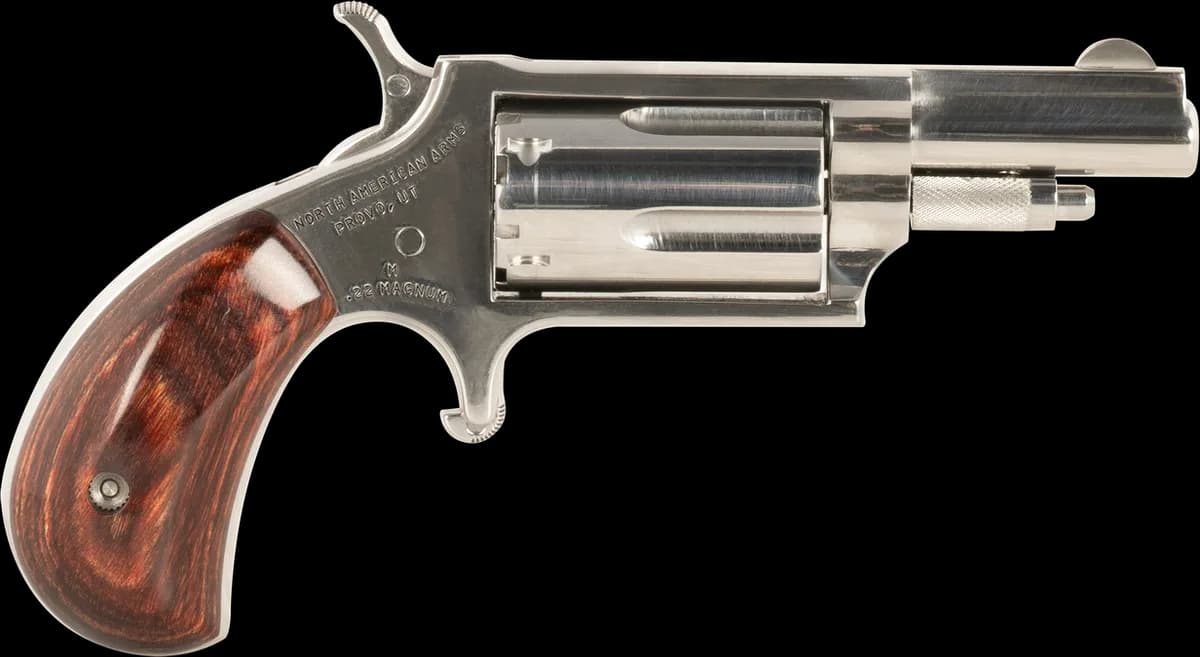 North American Arms 22 WMR