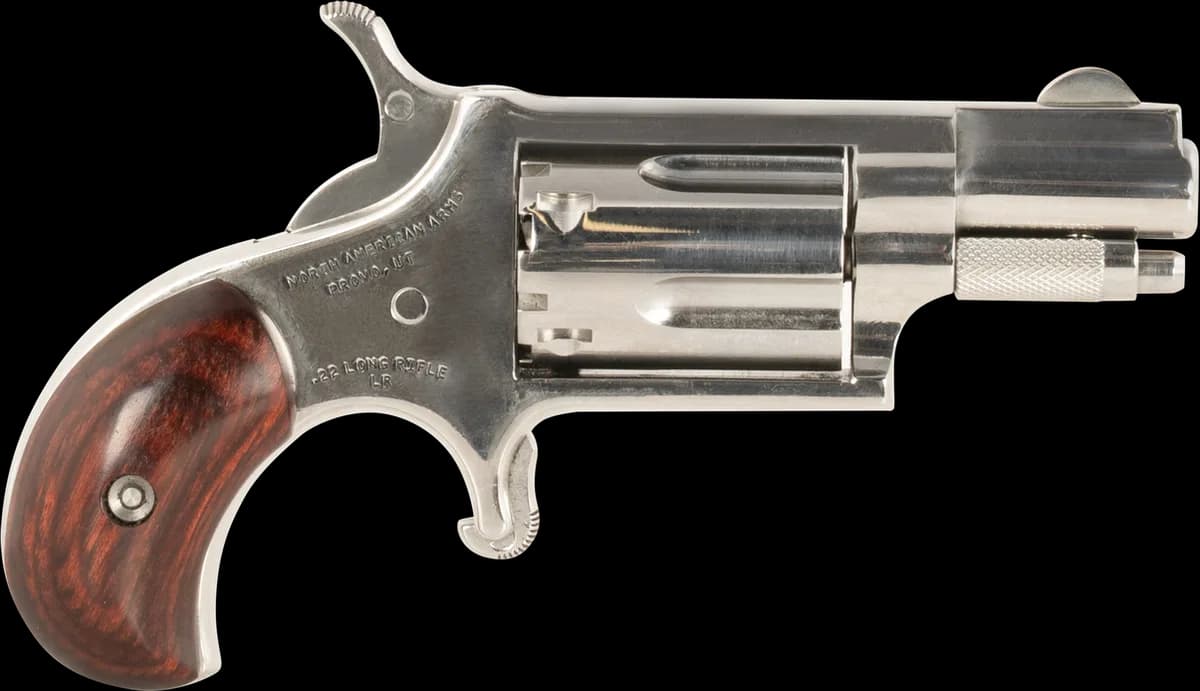 North American Arms LDLX