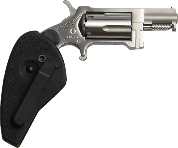 North American Arms Sidewinder