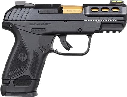 Ruger Security 380 TALO Edition