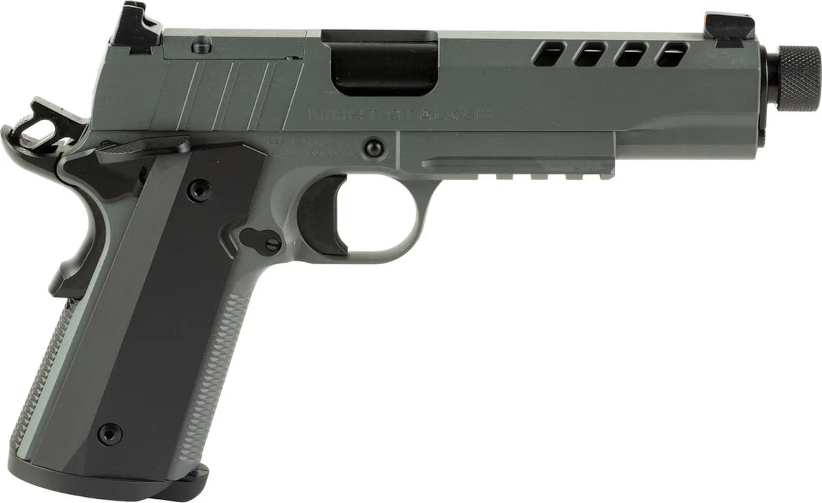 Tisas 1911 Night Stalker SF — image 2