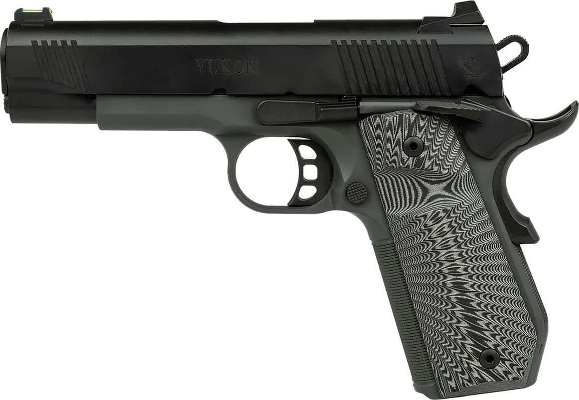 Tisas 1911 SDS — image 2