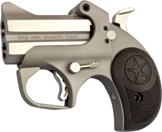 Bond Arms Roughneck .45