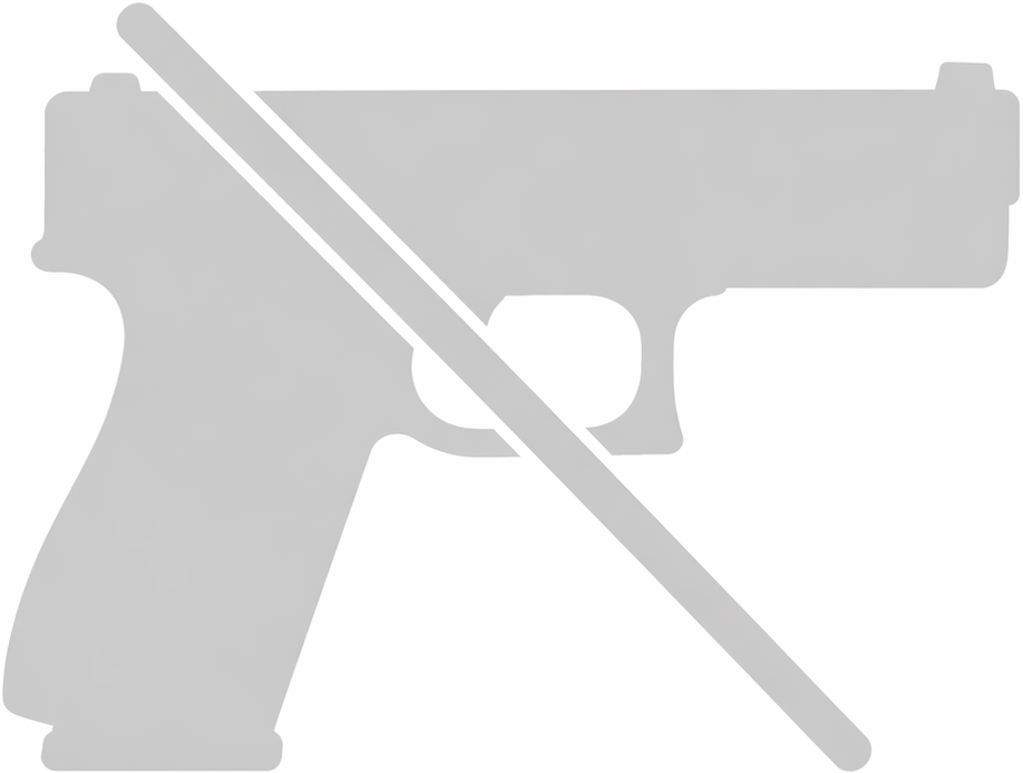 Missing gun image placeholder